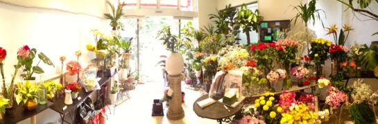 About Of 川越の花屋 フラワープロデュース Hama